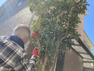 地域支え合い事業写真