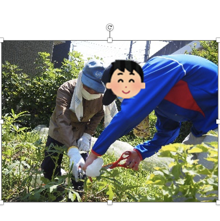 収穫体験の写真